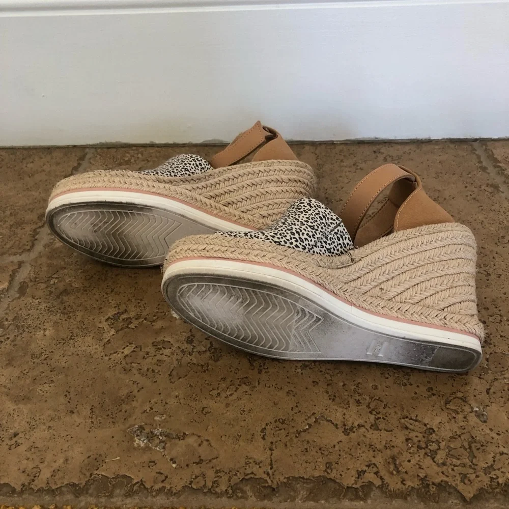 Toms from afternoon